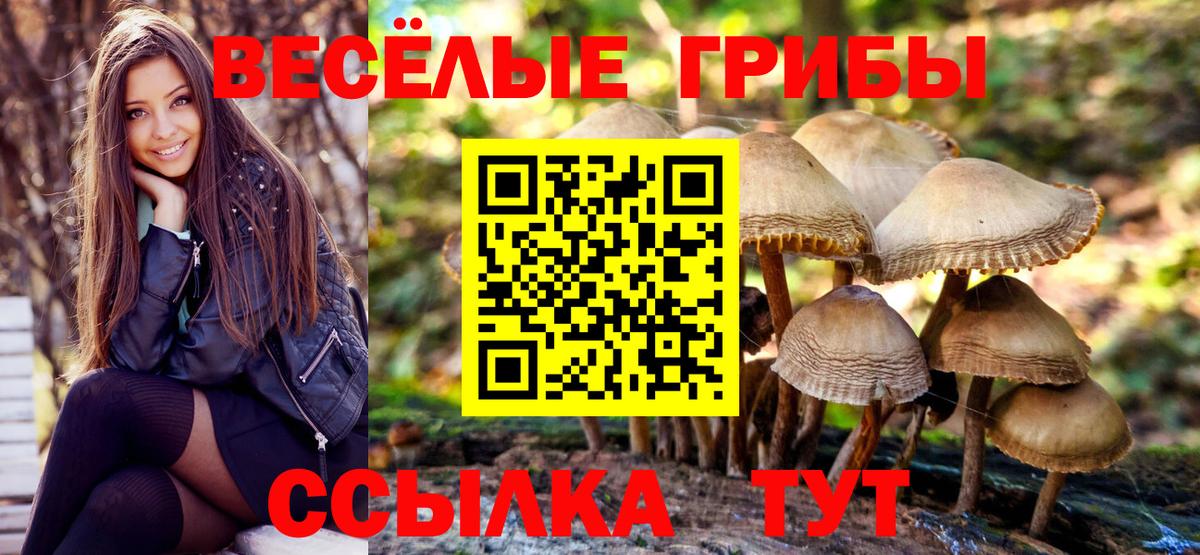 Бутират Камень-на-Оби