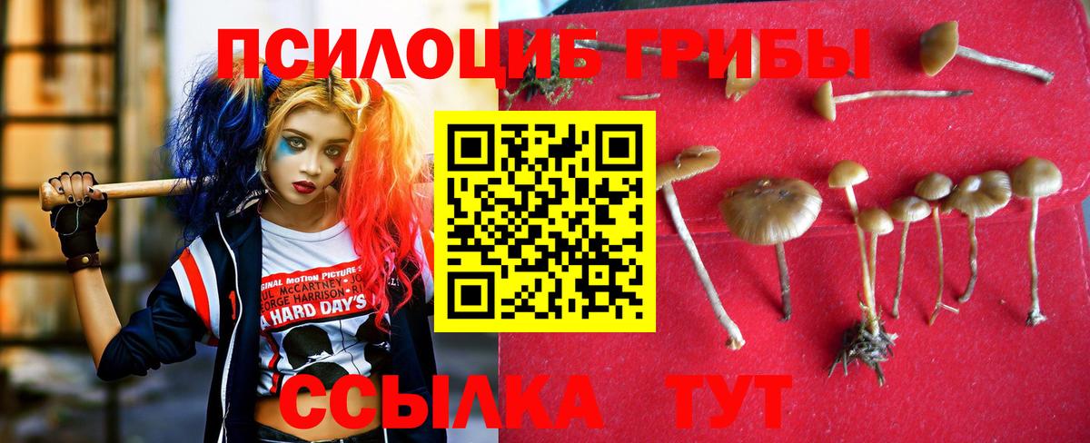 Камень-на-Оби  Галлюциногенные грибы GOLDEN TEACHER  Вход с VPN 